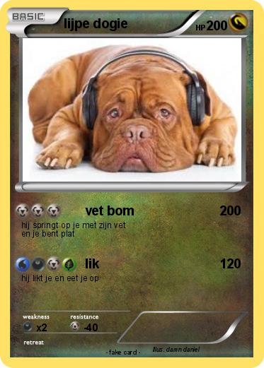 Pokemon lijpe dogie