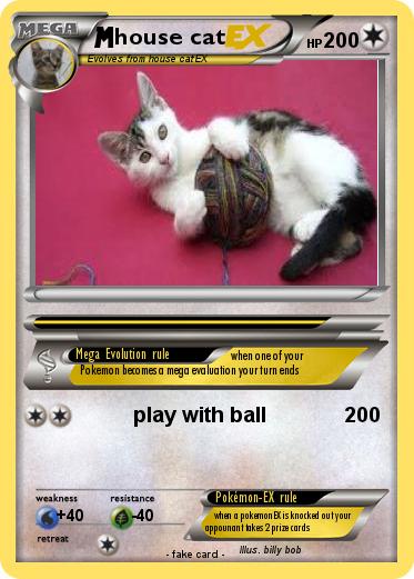 Pokemon house cat