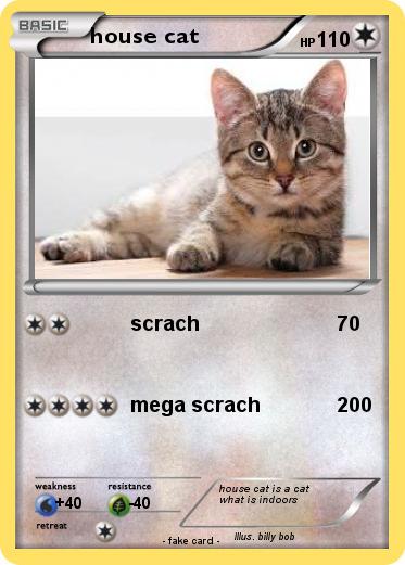 Pokemon house cat