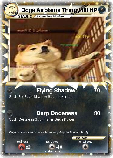 Pokemon Doge Airplaine Thingy
