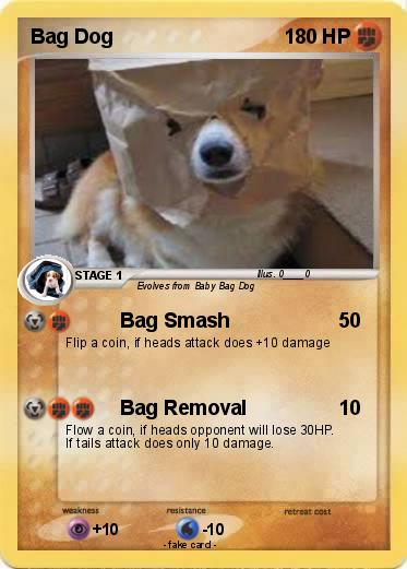 Pokemon Bag Dog