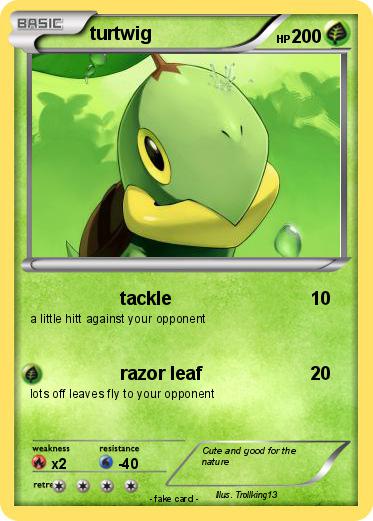 Pokemon turtwig