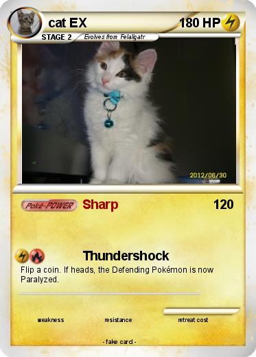 Pokemon cat EX