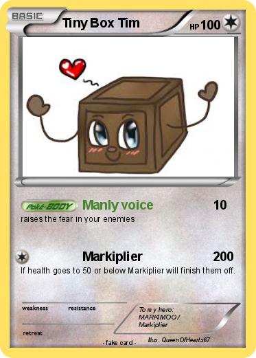 Pokemon Tiny Box Tim