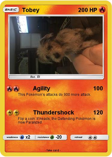 Pokemon Tobey