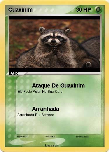 Pokemon Guaxinim