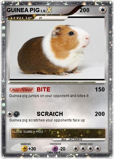 Pokemon GUINEA PIG