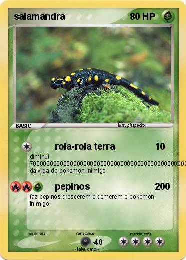 Pokemon salamandra Pokemon salamandra