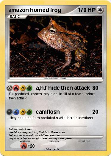 Pokemon amazon horned frog