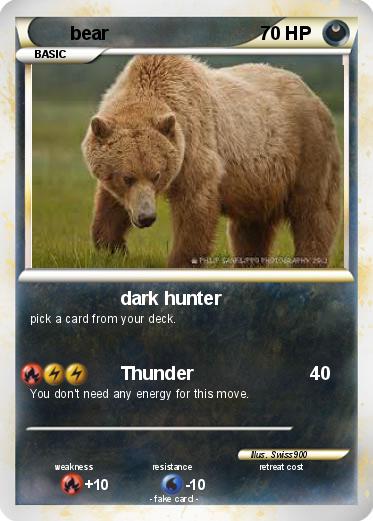 Pokemon bear