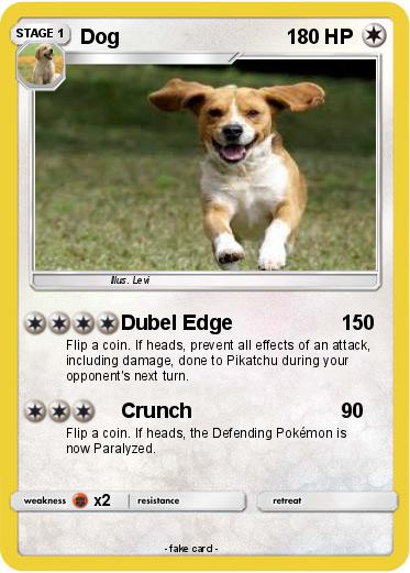 Pokemon Dog