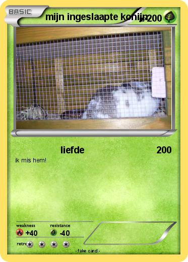 Pokemon mijn ingeslaapte konijn
