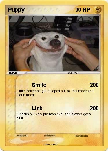 Pokemon Puppy
