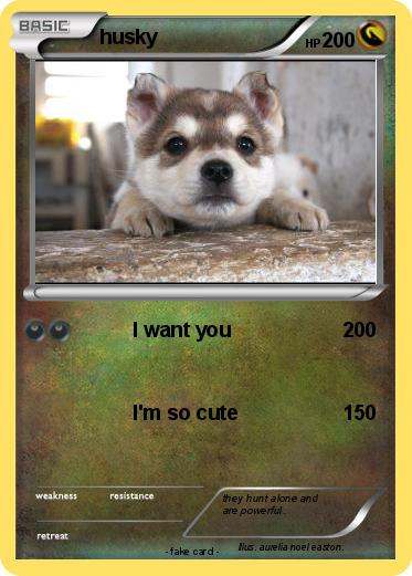 Pokemon husky
