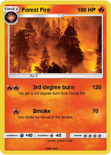 Pokemon Forest Fire