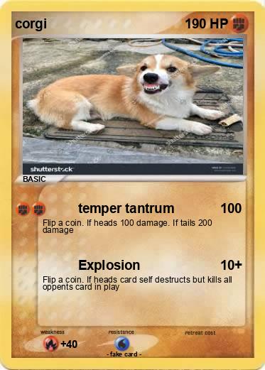 Pokemon corgi