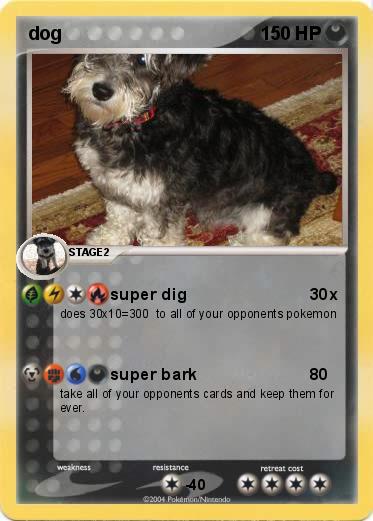 Pokemon dog