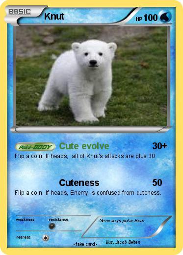 Pokemon Knut