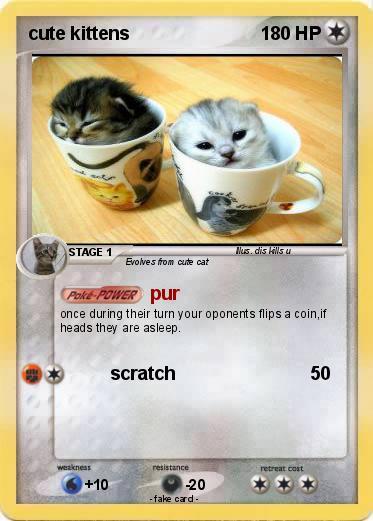 Pokemon cute kittens