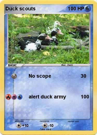 Pokemon Duck scouts