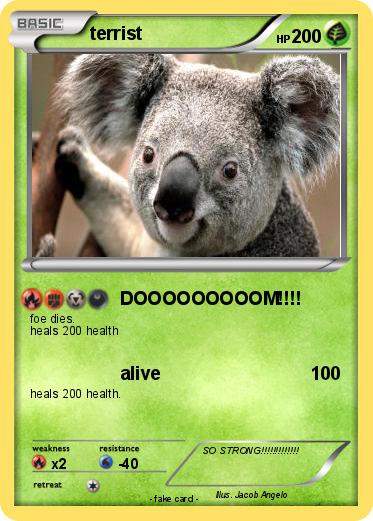 Pokemon terrist