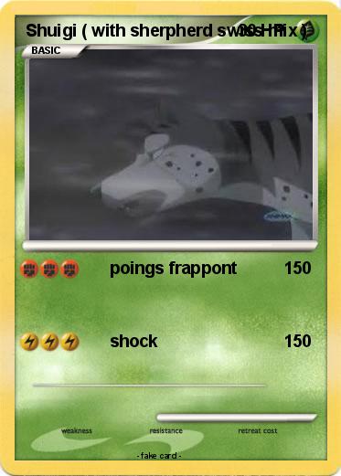Pokemon Shuigi ( with sherpherd swiss mix )