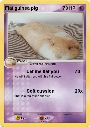 Pokemon Flat guinea pig