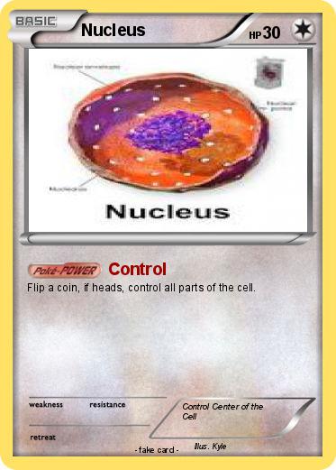 Pokemon Nucleus