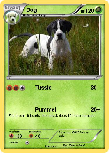 Pokemon Dog