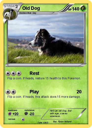 Pokemon Old Dog