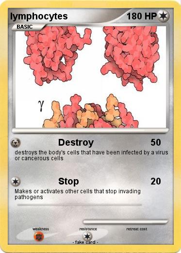 Pokemon lymphocytes