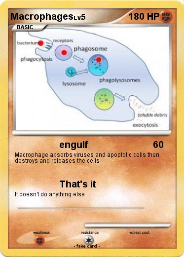 Pokemon Macrophages
