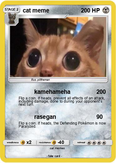Pokemon cat meme
