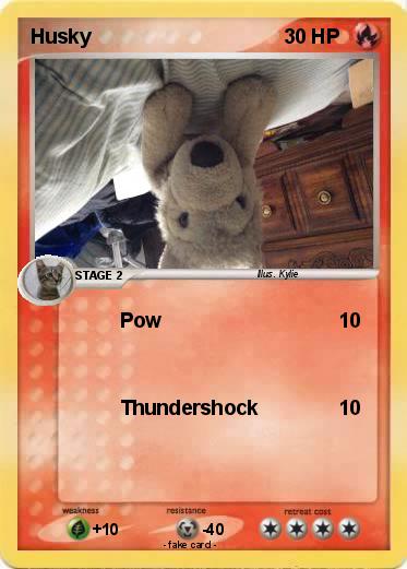 Pokemon Husky