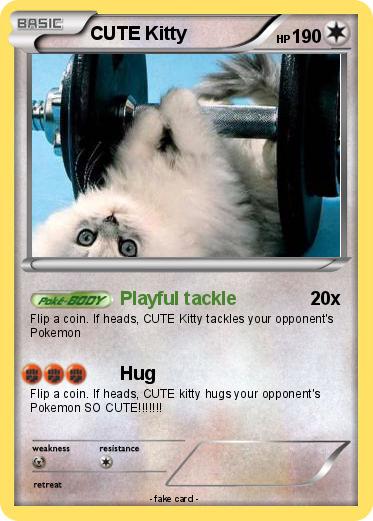 Pokemon CUTE Kitty