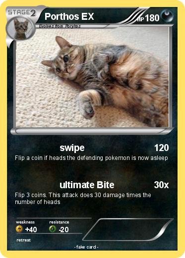 Pokemon Porthos EX