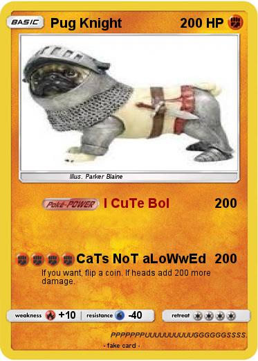 Pokemon Pug Knight