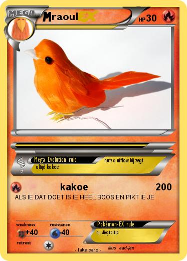Pokemon raoul