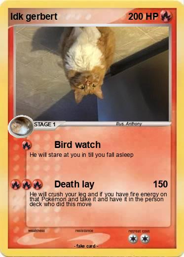 Pokemon Idk gerbert