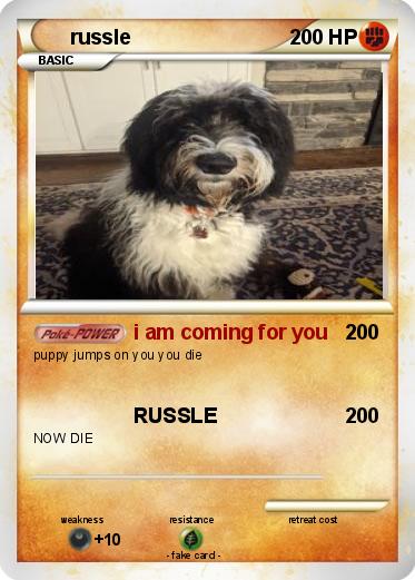Pokemon russle