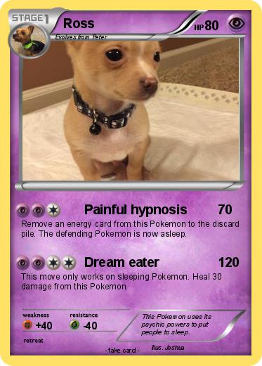 Pokemon Ross