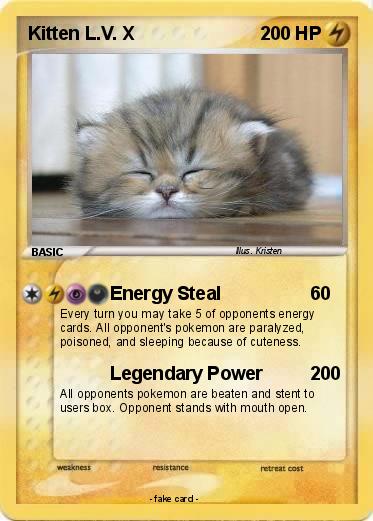 Pokemon Kitten L.V. X