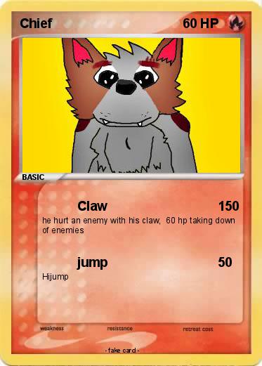 Pokemon Chief