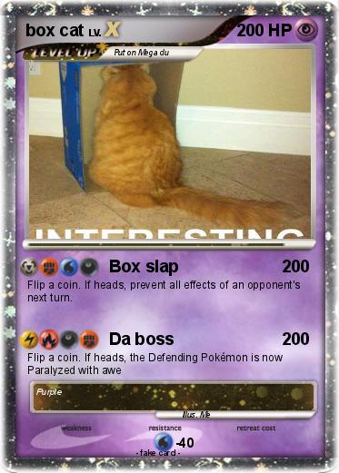 Pokemon box cat