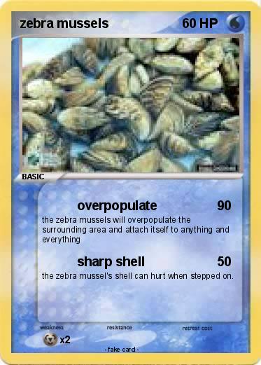 Pokemon zebra mussels