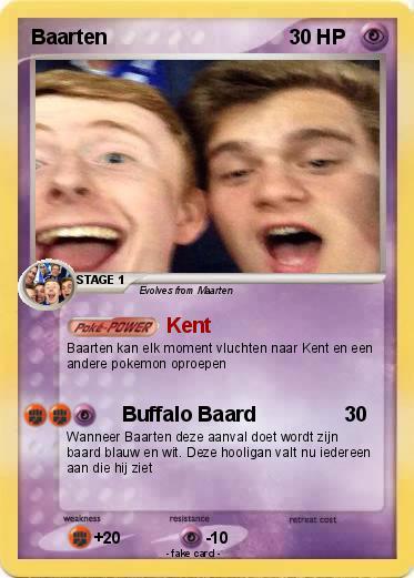 Pokemon Baarten