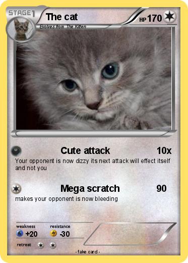 Pokemon The cat