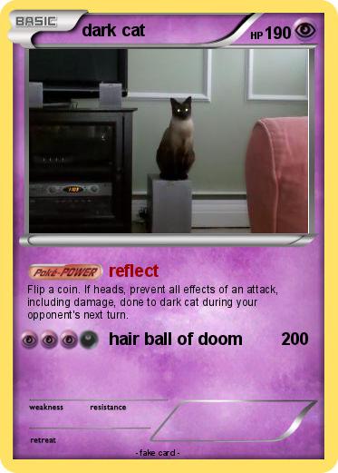 Pokemon dark cat