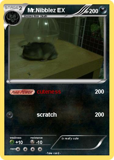 Pokemon Mr.Nibblez EX