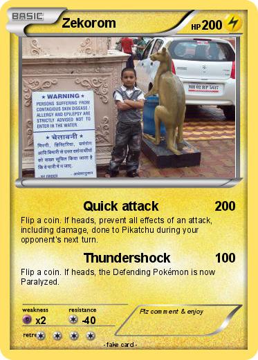 Pokemon Zekorom